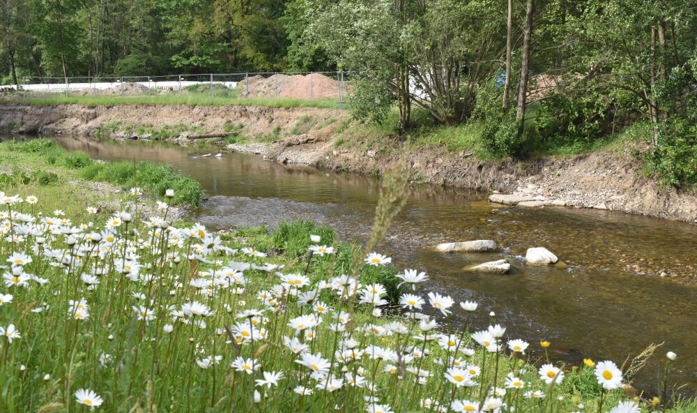 Das Flussbad Altchemnitz im Bau. 