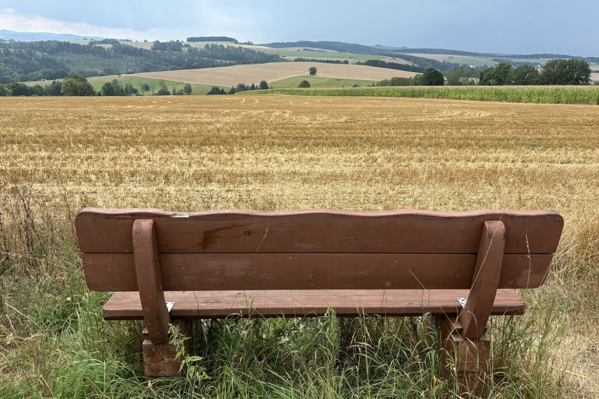 Der Weg führt um die Ortschaft Kleinolbersdorf-Altenhain.